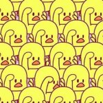 家禽孵化環境監測系統