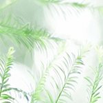 環境監測