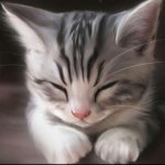 pets