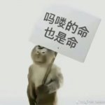 聰明燈泡