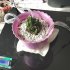 智慧養花系統